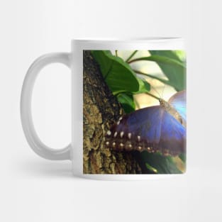 Purple and Blue Butterfly in Tree Mug